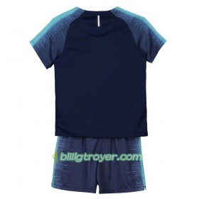 Billige Fotballdrakter Tottenham Hotspur Barn Bortedraktsett 2018/19 Kortermet